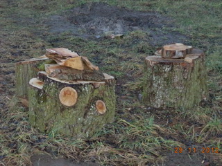 Так. Ты тут што сваВолыш!?