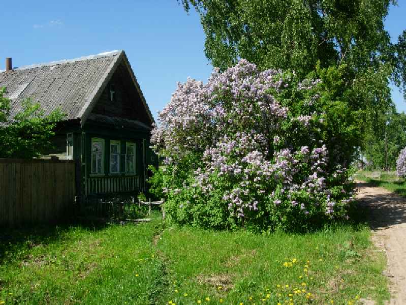 Майский день в деревне