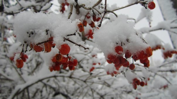 Девочка цвета осень