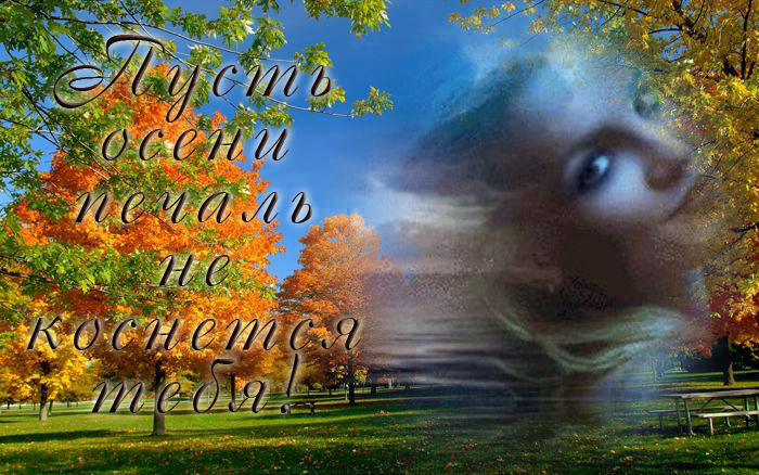 Туда не идут поезда