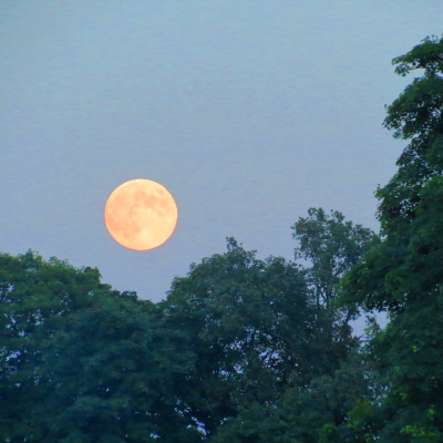 Как-то раз...