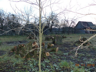 Да шо ты гондэ хочыш!