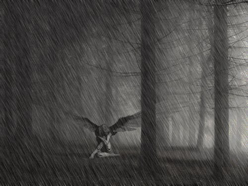 Безмолвный крик