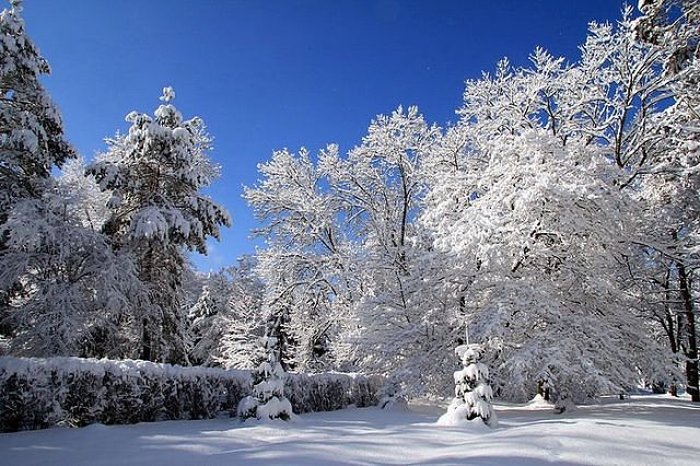 Тишина триолеты