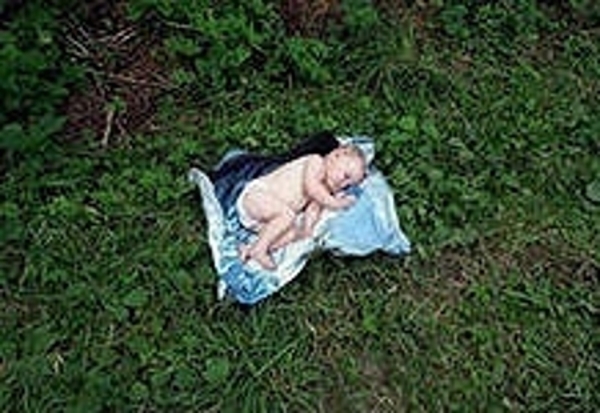 Жизнь возрождалась