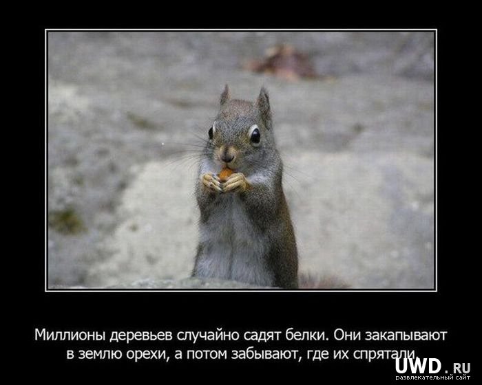 Факты