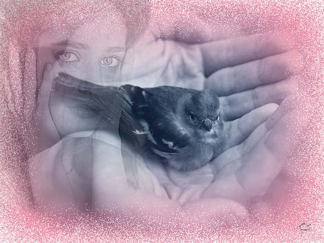 Душа моя как раненая птица...