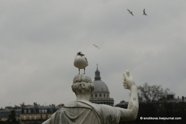 Генеральная репетиция. Экспромт