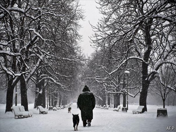 У тебя наверное будет собака