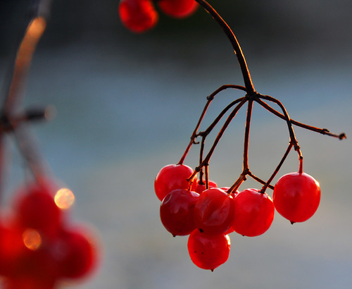 А есть ли у тебя друзья?