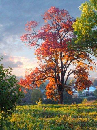 Поэтессам стихи. ру