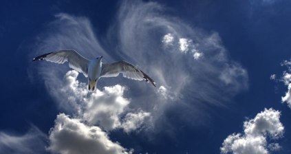 Жизнь страницами всё мимо...