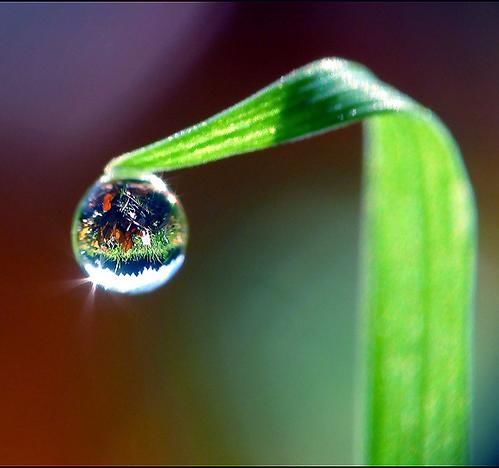Родина босая вот моя любовь...