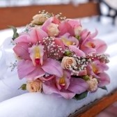 Не заснежит чувств зима - акро