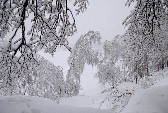 Хмурых дней ненастных ныне... Лидия Борисова