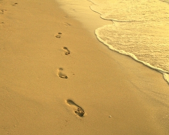 Время скроет следы...