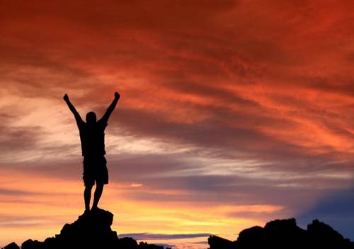 Начинающей знаменитости