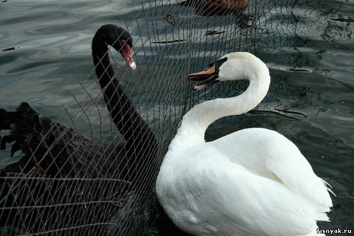 Начать сначала