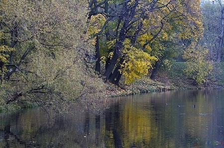 Лефортовский парк