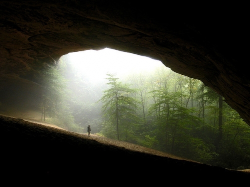 Только ты...