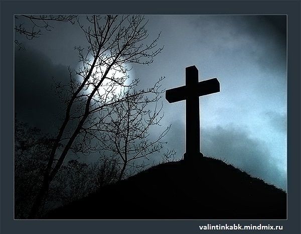 Кровь и корни свои не теряют