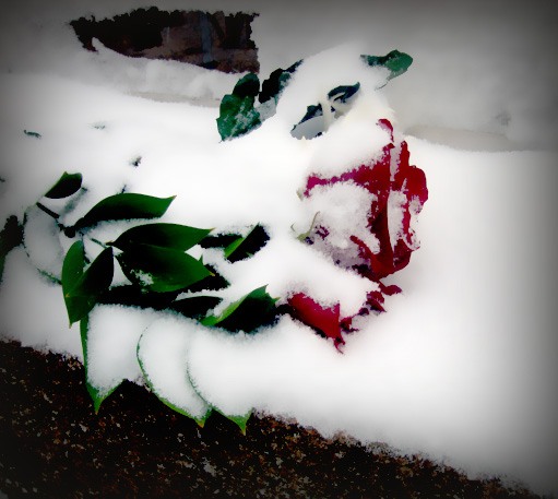 Все так же красива