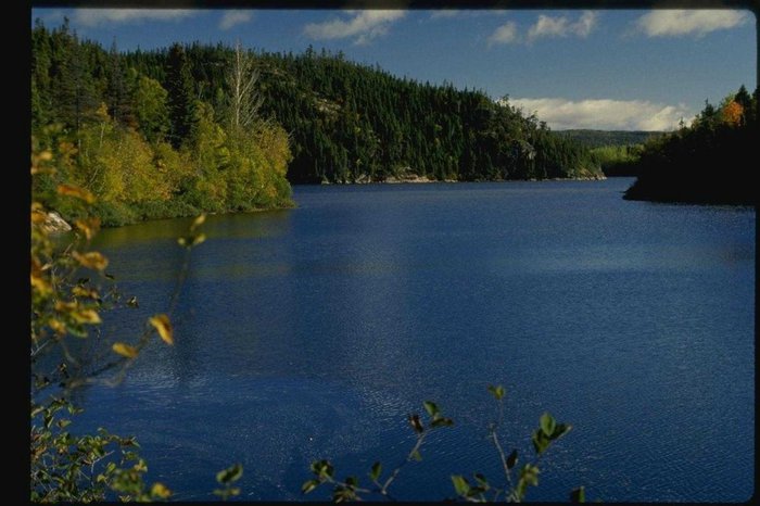 Речка жизнь...