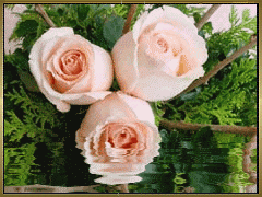 Ночная прогулка