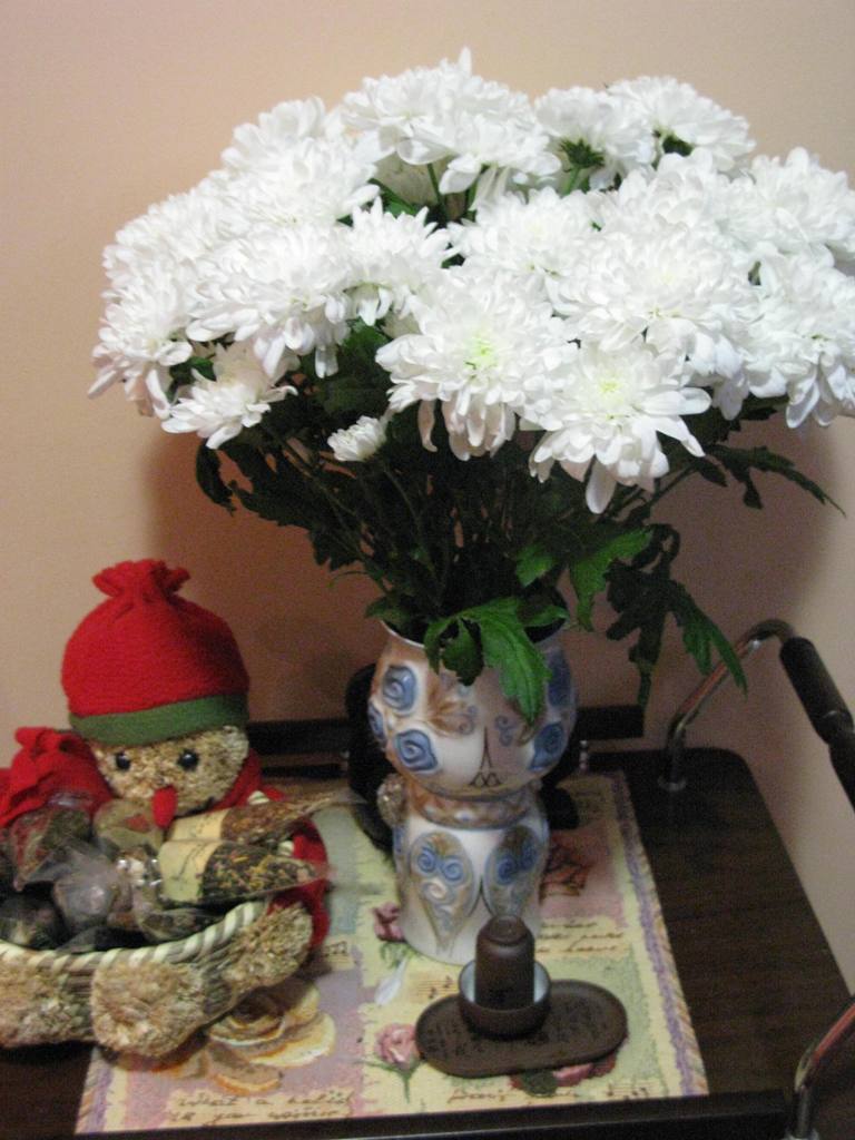 Хризантема