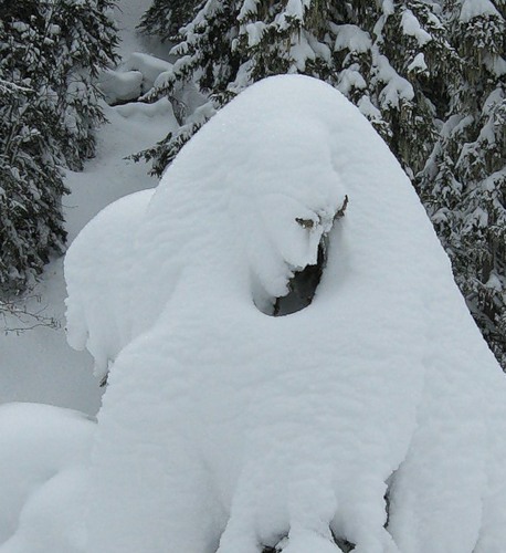 Любопытная снегурочка