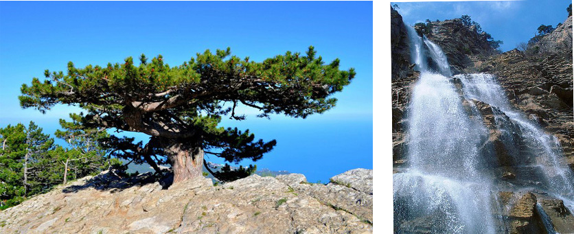 На Ай-Петри