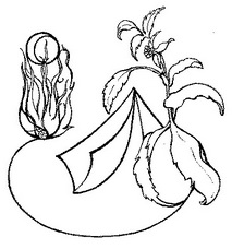 Давай сойдем на полустанке...