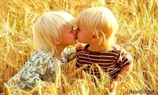 Поцелуй во ржи. Солнечные мечты