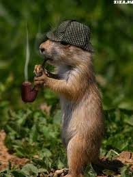 тильки нызэнько...