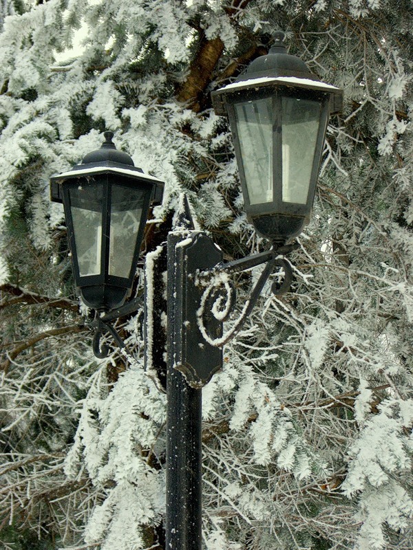 Ах, фонари в старом парке забыть нас не смогут...