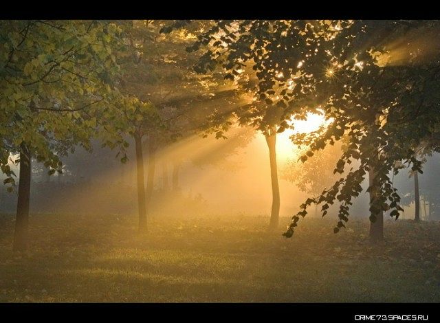 Жить аж хочется!