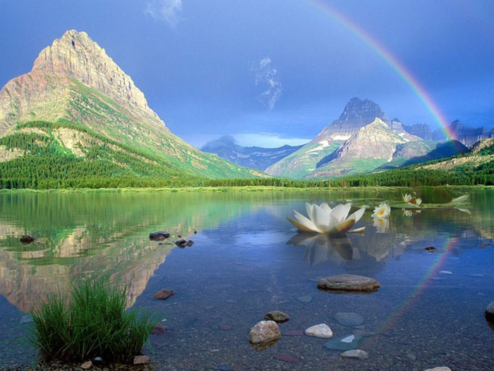 Зеркальность