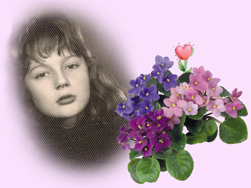 Жизнь моя, как осенний листочек. Роман 1-26