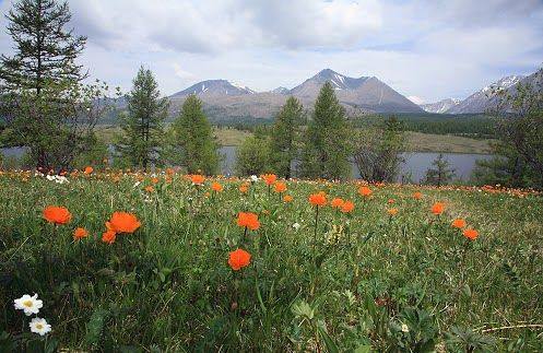 Бывает творческий зуд