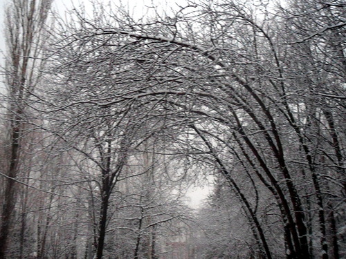 Снег отчужденья