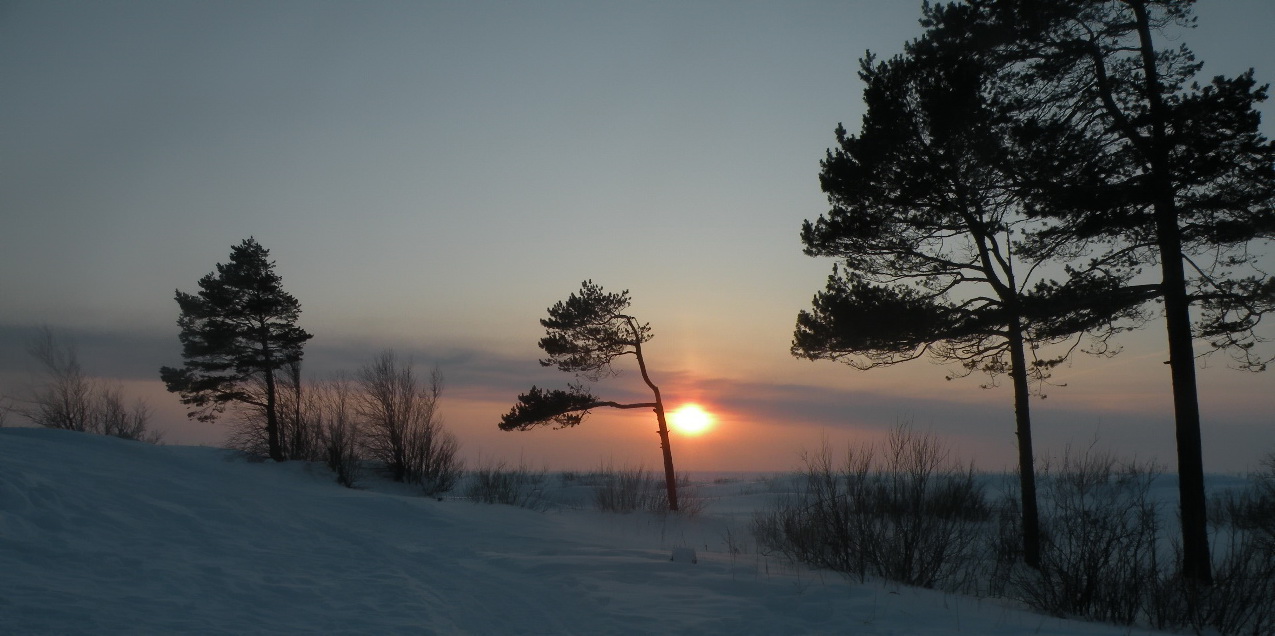 Закат стал сиреневым...