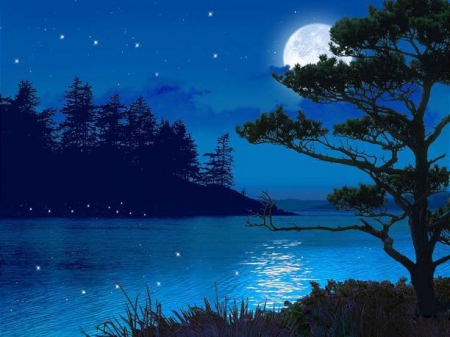 Ночь в россыпи звезд...