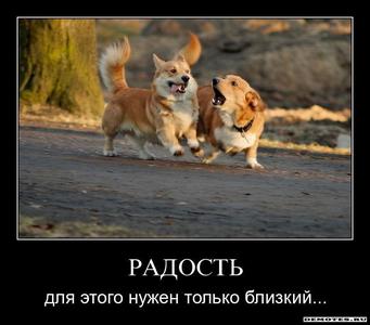 Ты о радости напиши