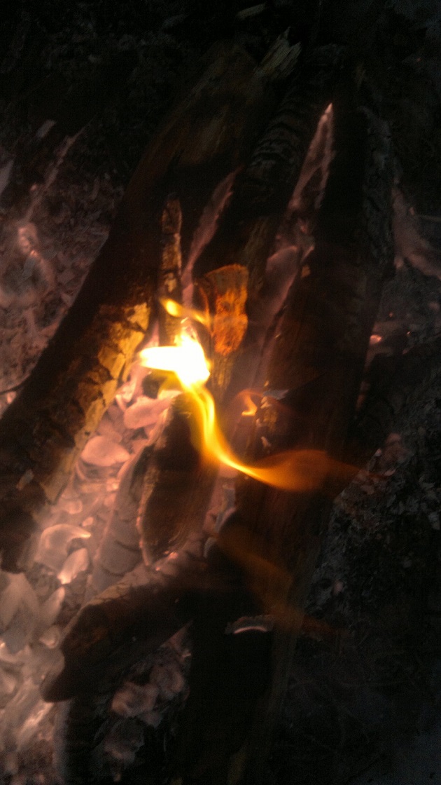 Нить времён