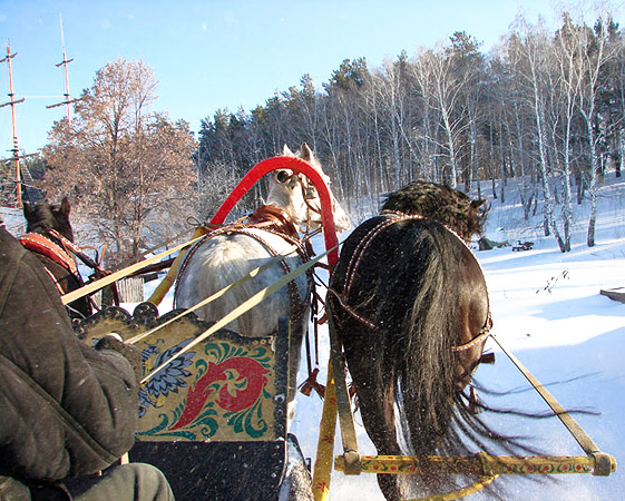 Бразды правления в руках