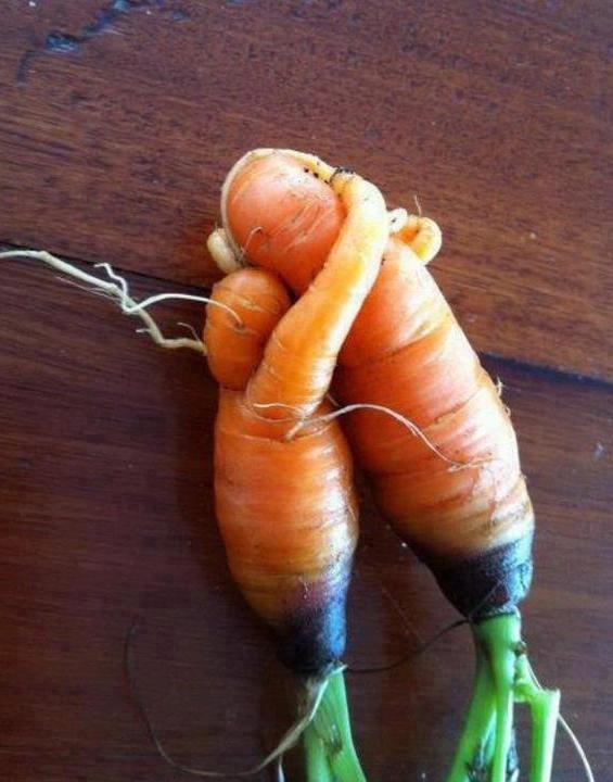 Будем сидеть так обнявшись вместе тысячи лет