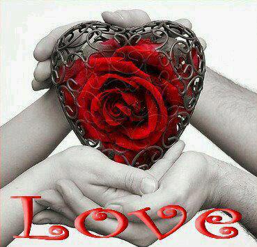 Берегите Любовь!