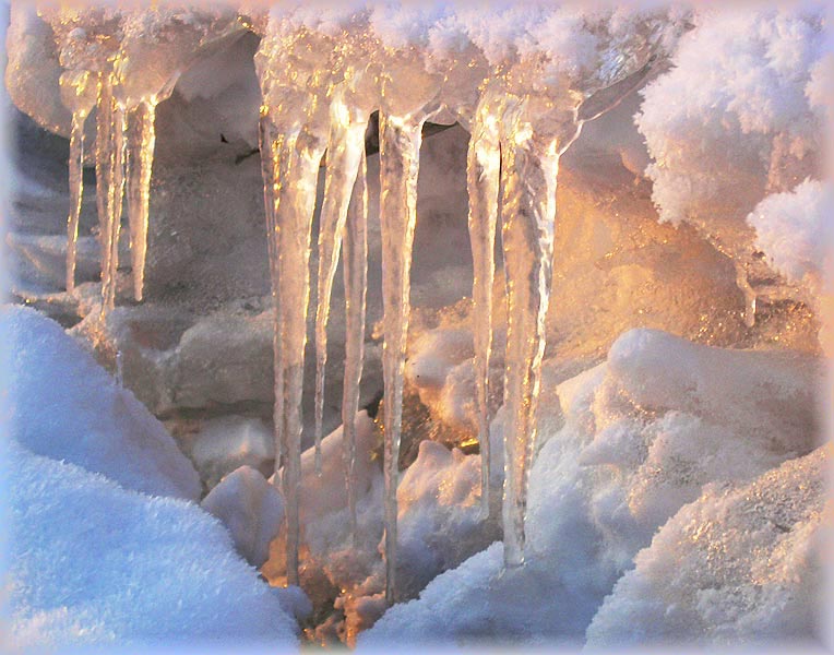 Февраль пришел с звенящею капелью...