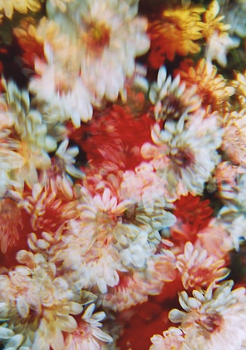 такая природа