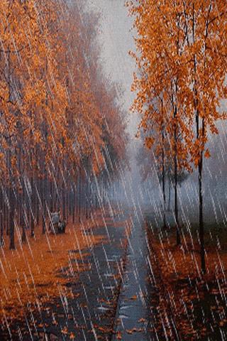 Осенняя Дача Фото